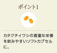 ポイント1 カタクチイワシの貴重な栄養を飲みやすいソフトカプセルに。
