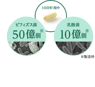 1日目安1粒中ビフィズス菌50億個乳酸菌10億個※製造時