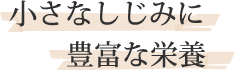 小さなしじみに豊富な栄養