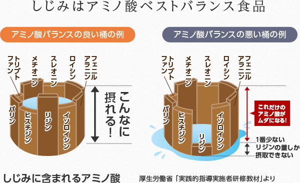しじみはベストバランス食品