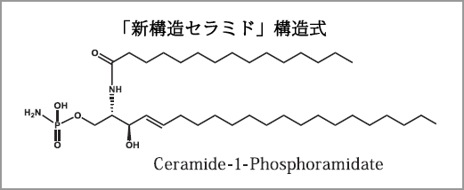 新構造セラミド構造式