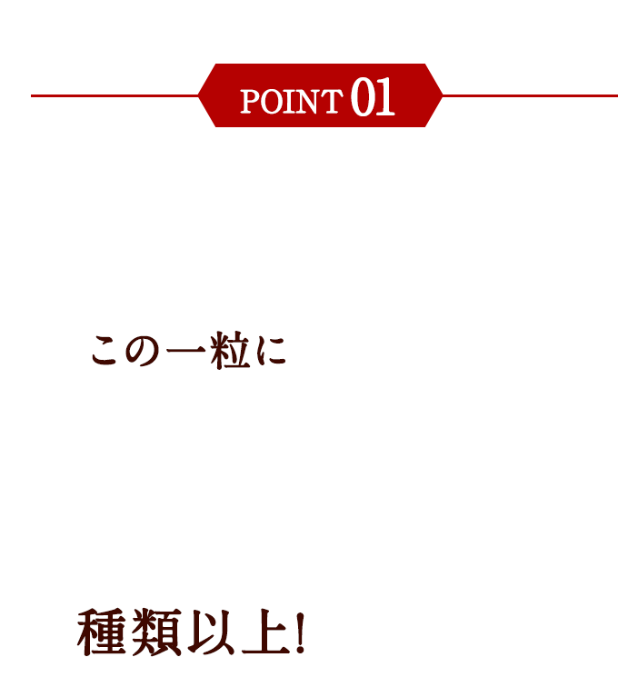 豊富な栄養成分