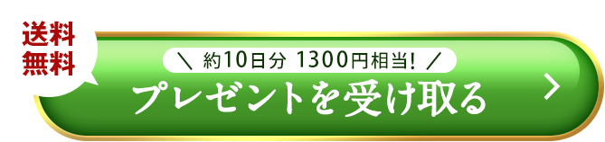 プレゼントを受け取る