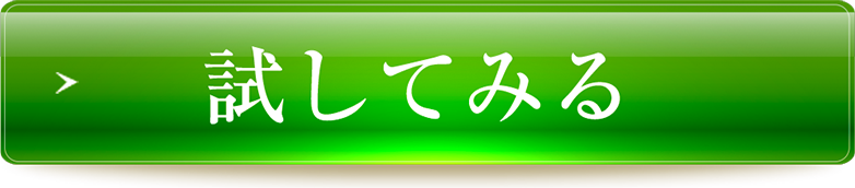 試してみる