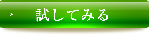 試してみる