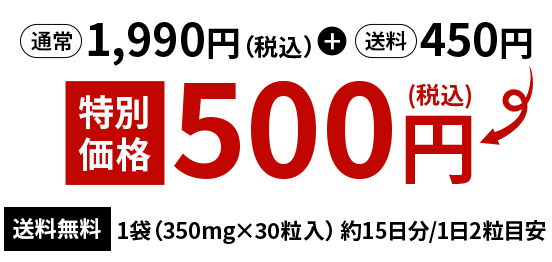 特別価格500円（税込）