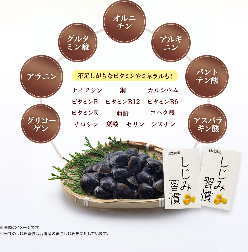 成分一覧