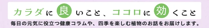 カラダに良いこと、ココロに効くこと　毎日の元気に役立つ健康コラムや、四季を楽しむ植物のお話をお届けします。