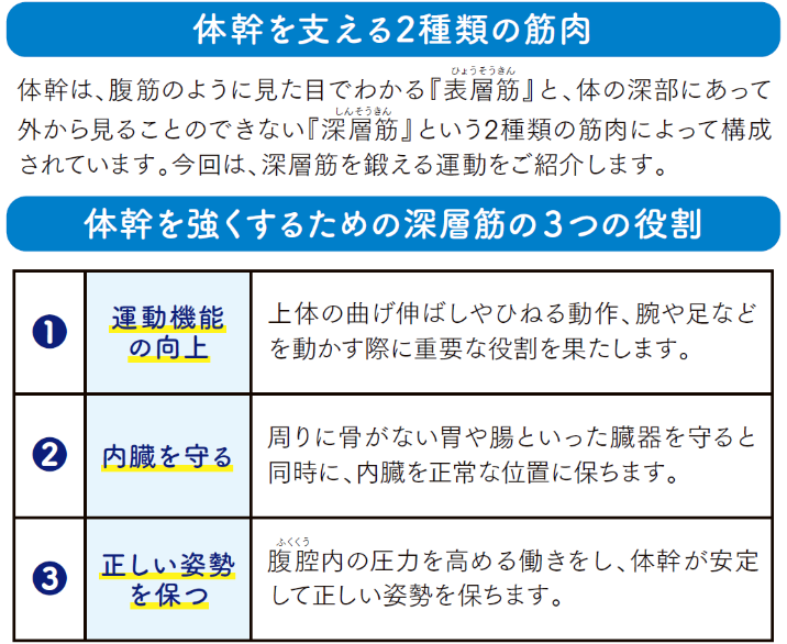 転倒予防に欠かせない筋肉の維持