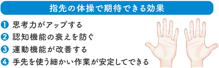 足の主な働き