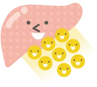 ④コレステロール代謝促進