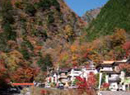 梅ヶ島温泉