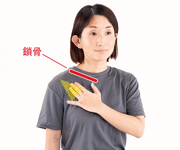手順②