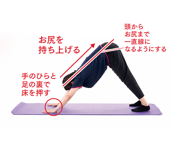 手順②