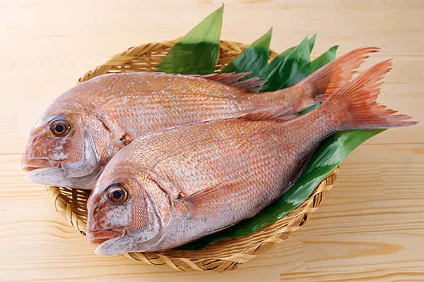 睦月の食材　鯛