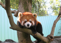 ● 東京都江戸川区● 江戸川区自然動物園