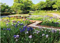 ● 福岡県春日市● 福岡県営春日公園