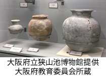 ● 大阪府大阪狭山市● 大阪府立狭山池博物館