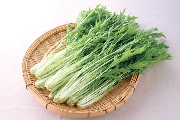 「師走の食養生」水菜